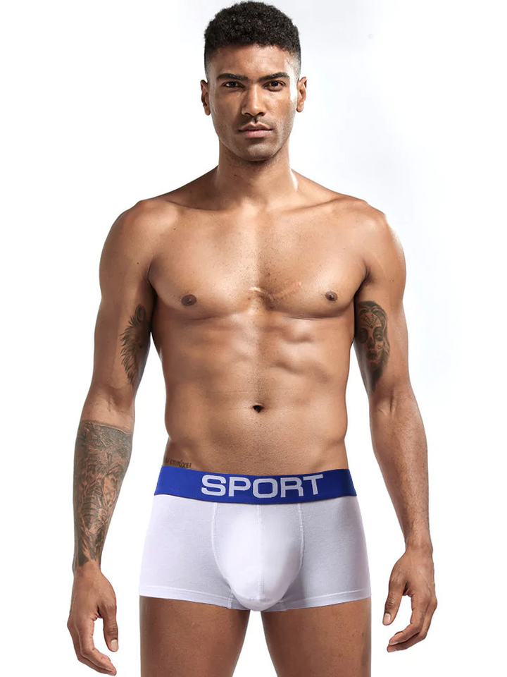 MCT 18409 Men's Swell Push-Up Rio SLIP GAY Briefs BULGE POUCH in 6 MCT 18409 Men's Swell Push-Up Rio SLIP GAY Briefs BULGE POUCH in 6
